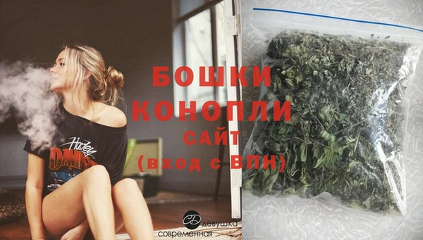 дурь Краснослободск