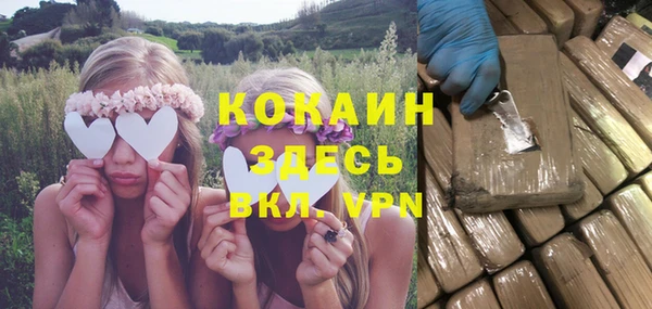 дурь Краснослободск