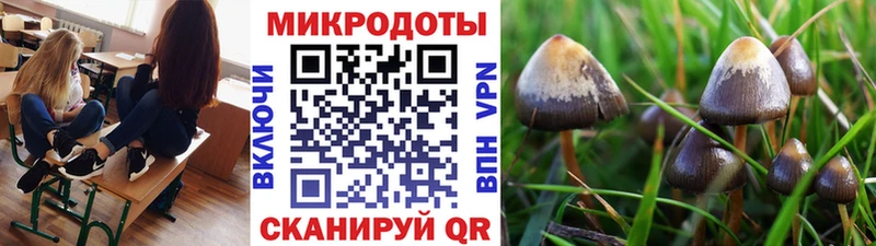 Галлюциногенные грибы GOLDEN TEACHER  Купить  Почеп 